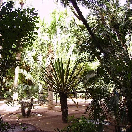 Appart avec vue Jardin/Majorelle Marrakesh Exterior foto