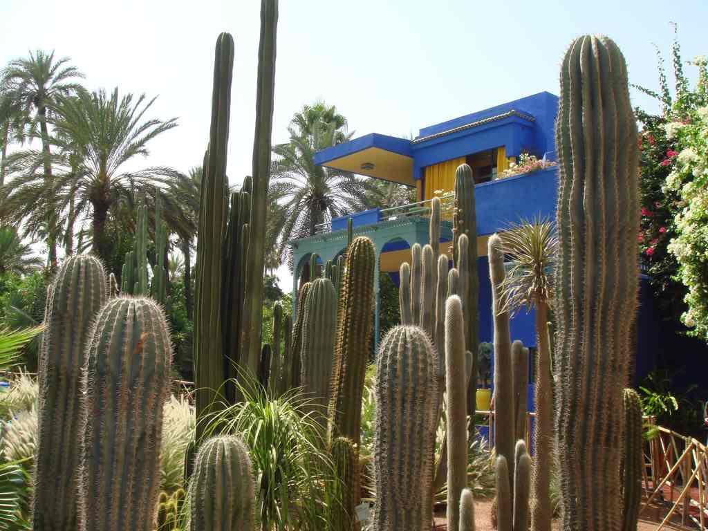 Appart avec vue Jardin/Majorelle Marrakesh Exterior foto