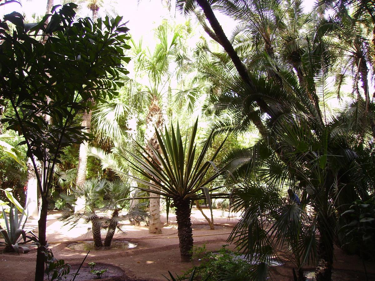 Appart avec vue Jardin/Majorelle Marrakesh Exterior foto